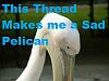 Click image for larger version. 

Name:	526817_sad-pelican.jpg 
Views:	476 
Size:	23.7 KB 
ID:	4387